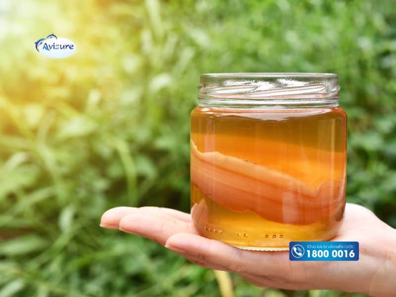 Lợi khuẩn Probiotic có ở đâu, có ở Kombucha không?